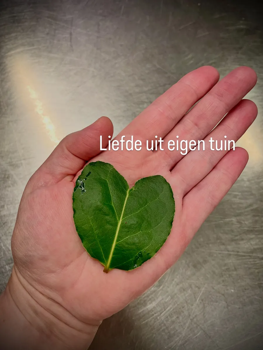 Een open hand met een groen, hartvormig blad uit de eigen tuin, met de tekst: liefde uit eigen tuin